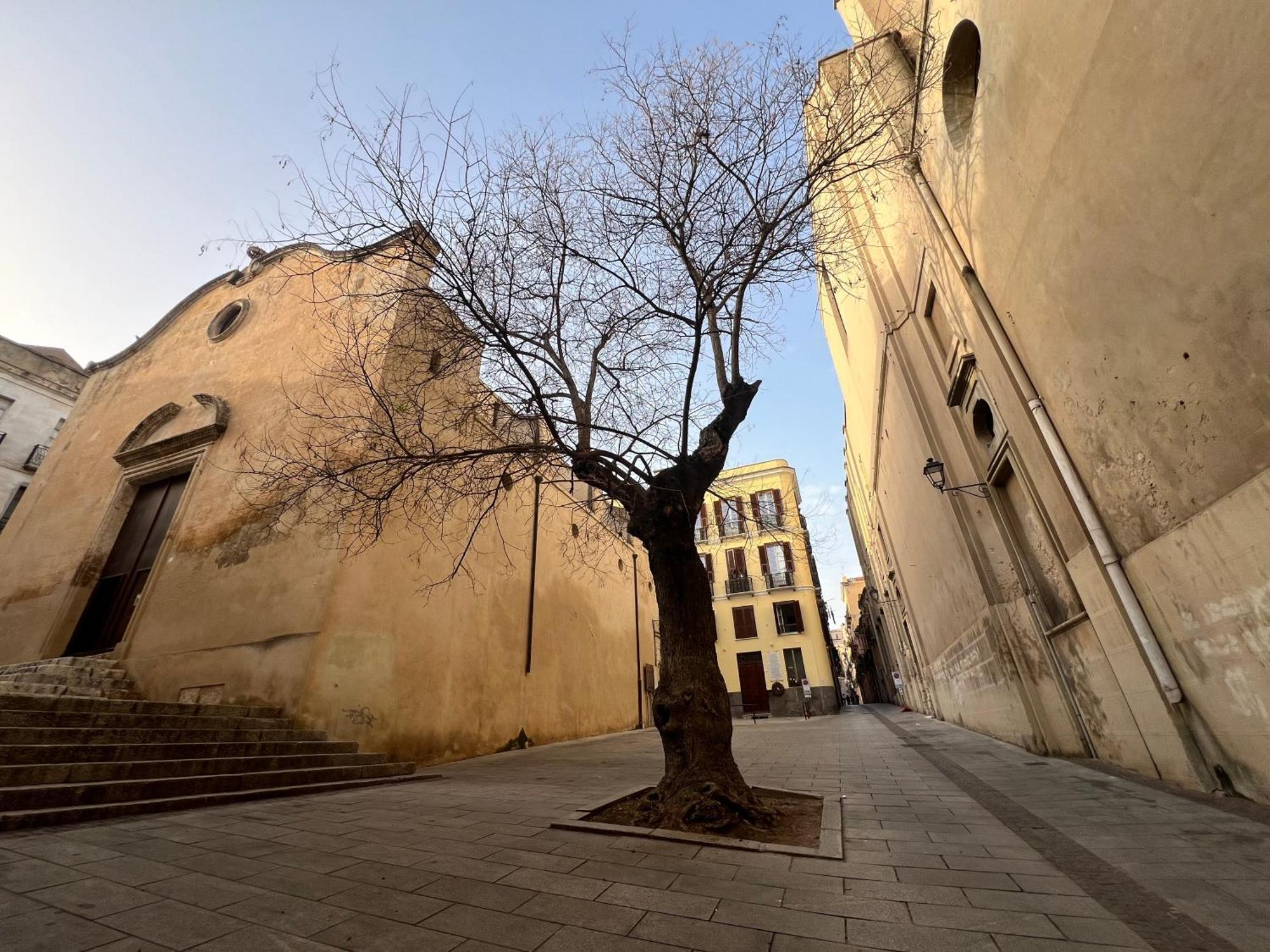 Sant Efisio Cagliari Suite Eksteriør bilde